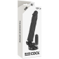 BASECOCK - VIBRATEUR RÉALISTE TÉLÉCOMMANDE NATUREL 21 CM